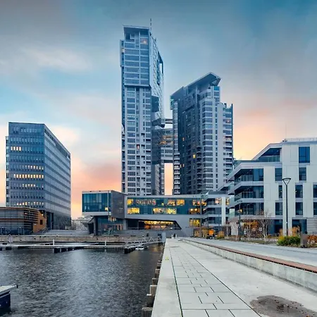 Faltom 26 Yacht Park Z Tarasem *