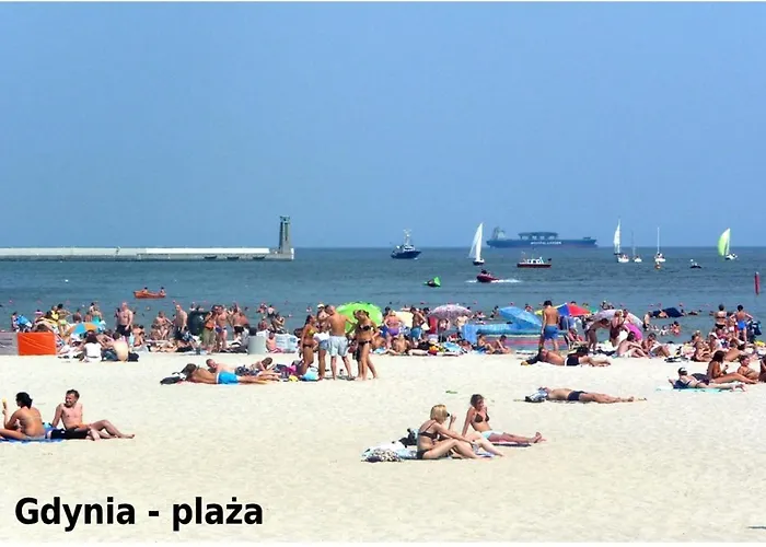 Faltom 26 Yacht Park Z Tarasem *